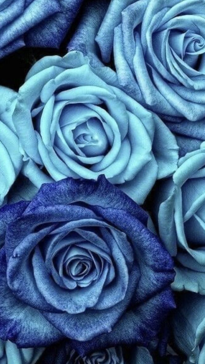 Blue Crystal Rose Wallpapers - Wallpaper Cave