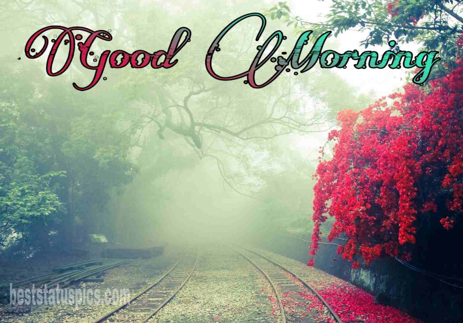 Winter Good Morning Wishes HD Image, Picture Status Pics