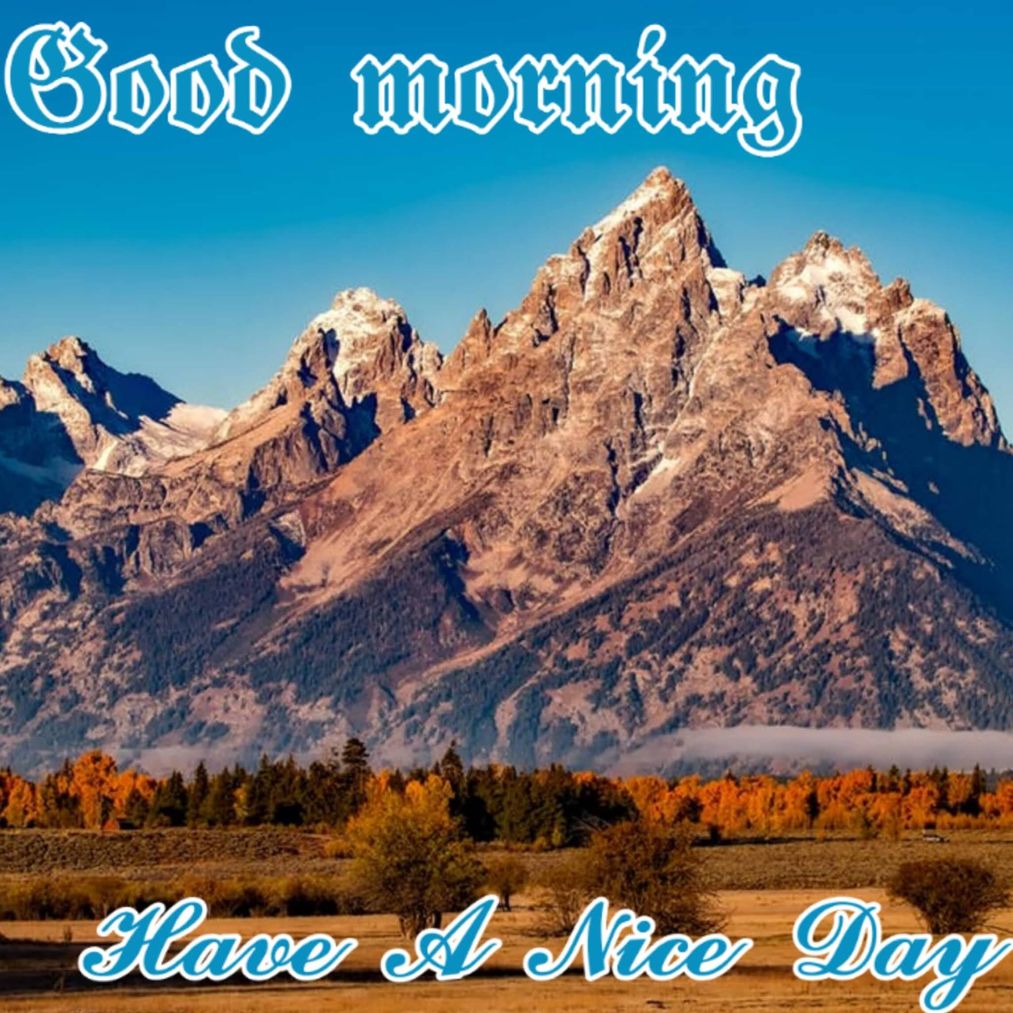 good morning have a nice day image wishes image