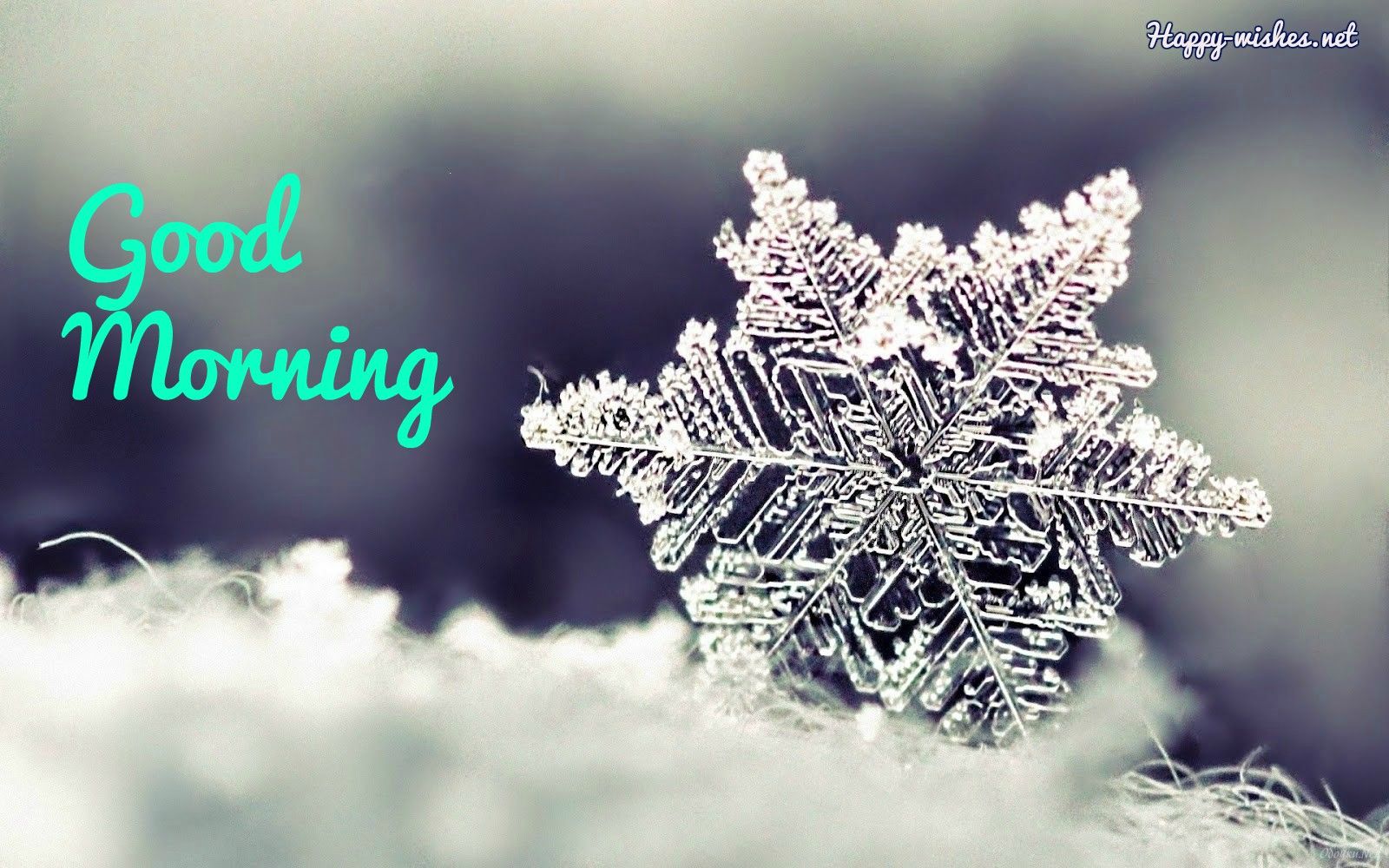Winter Good Morning Wishes Quotes & Image. Winter wallpaper, Nature background iphone, Christmas wallpaper