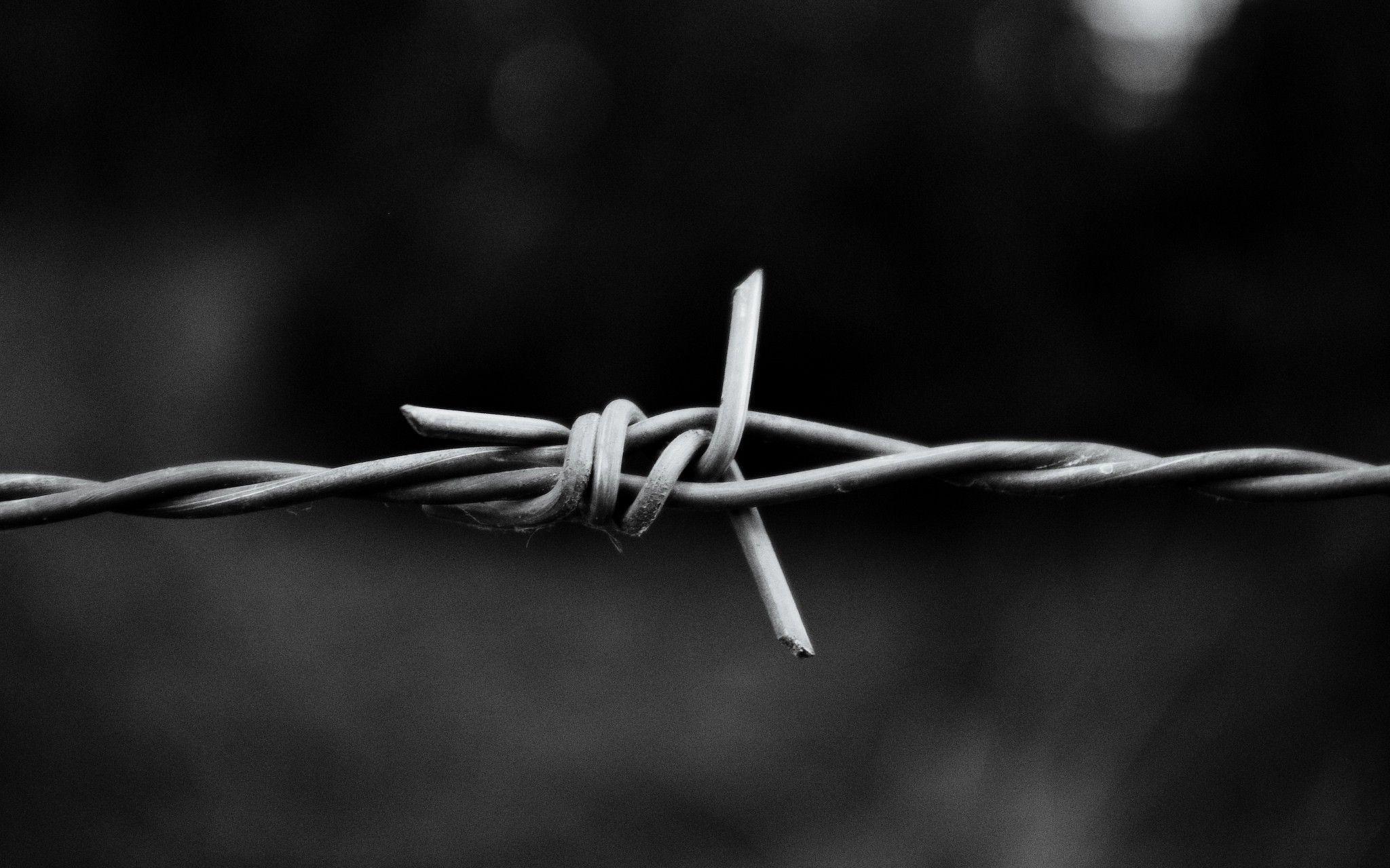 Barbed Wire Wallpaper