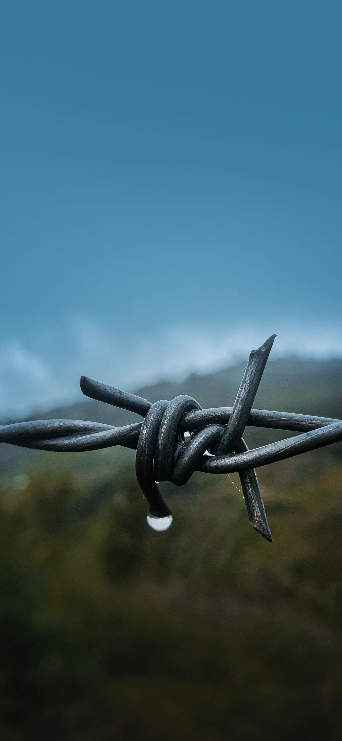 Download 1125x2436 wallpaper close up, barbed wire, iphone x 1125x2436 HD image, background, 23660