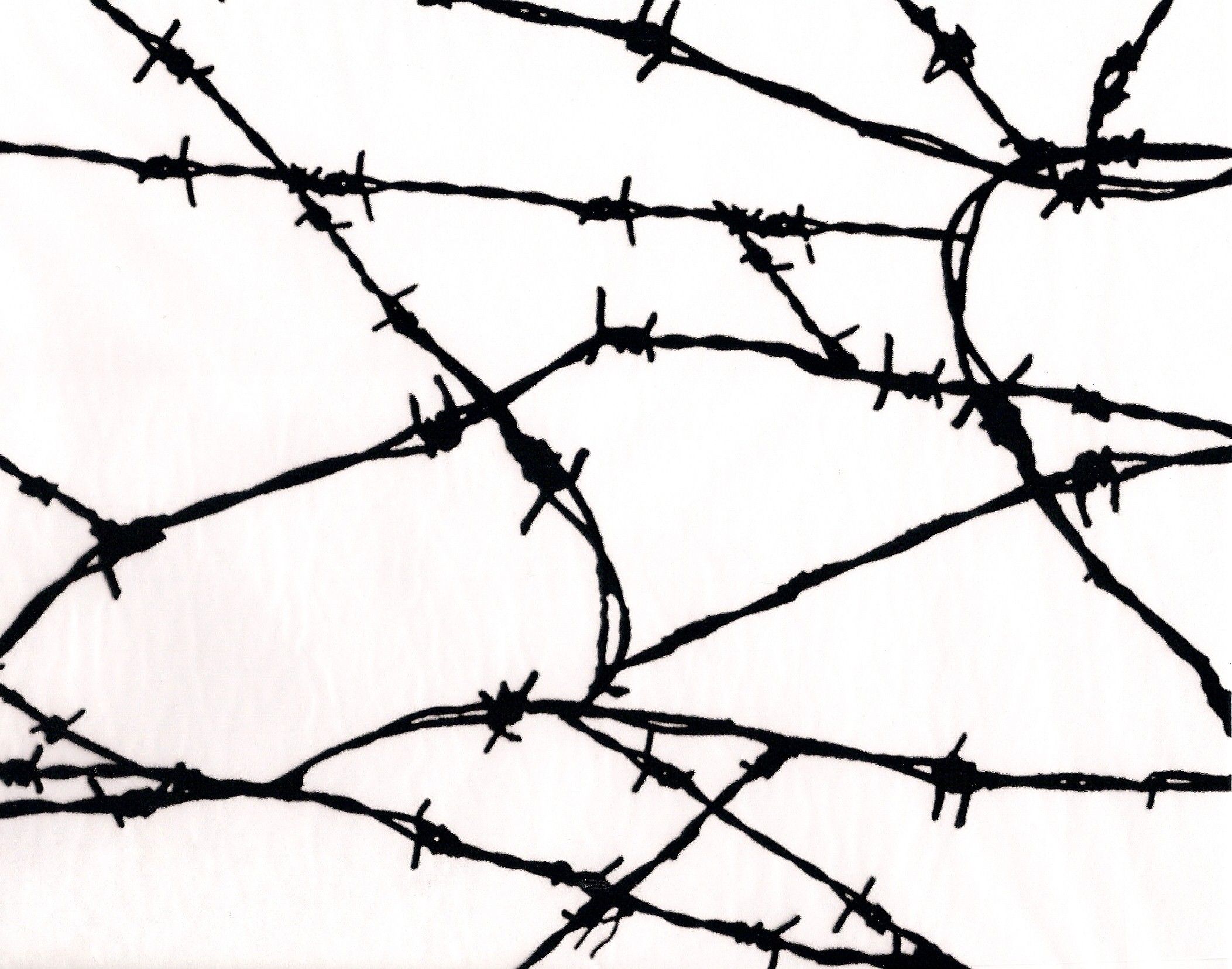 Closeup Black Barb Wire Texture Background Vertical Dark Black Barb Fence  Wire Abstract Background Stock Photo Picture And Royalty Free Image Image  152929729