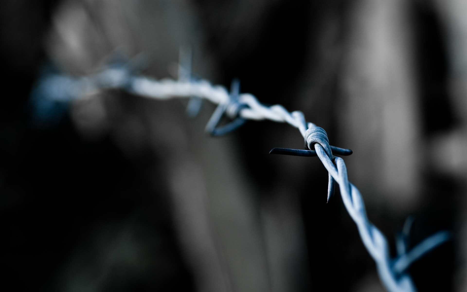 Barbwire 4K wallpaper for your desktop or mobile screen free and easy to download