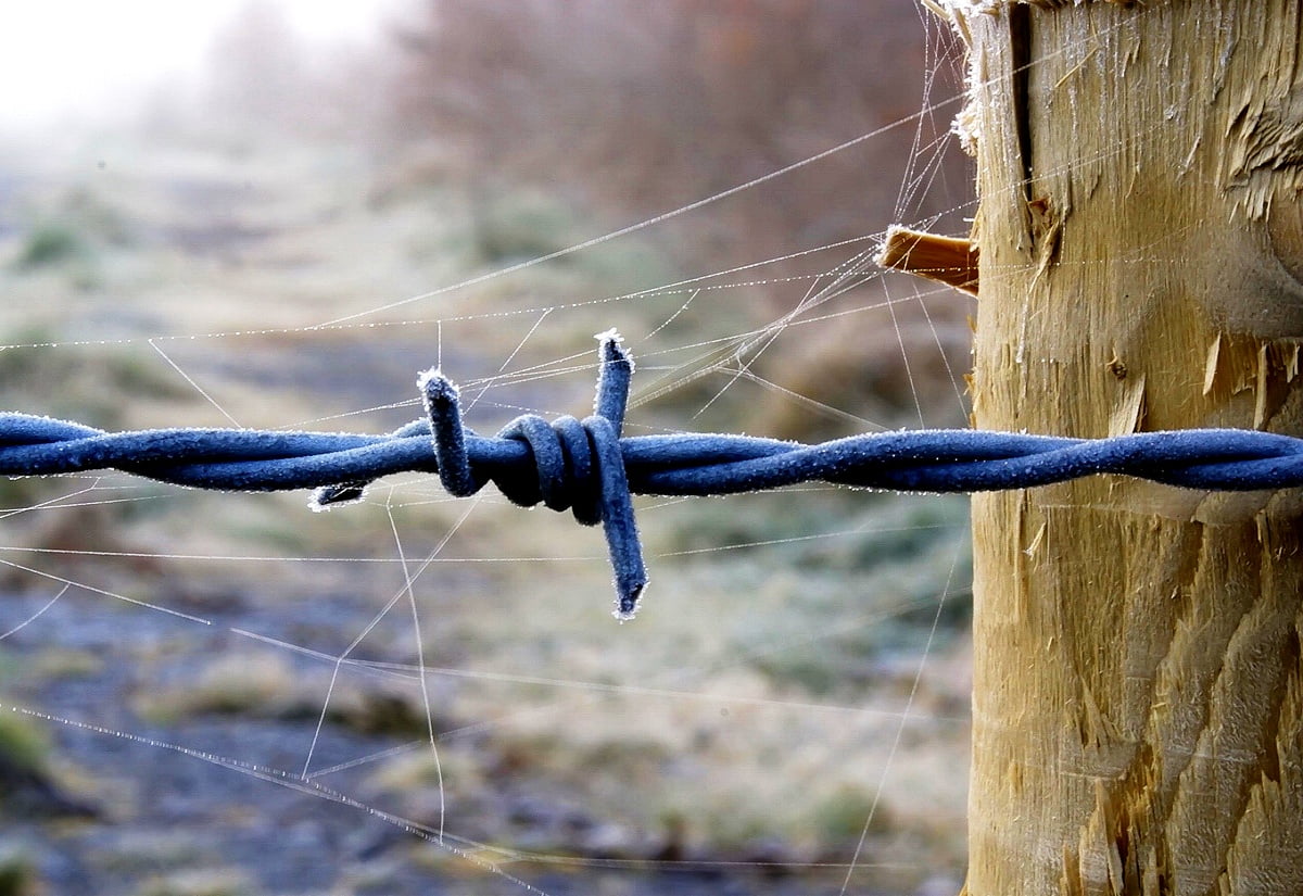 Barbed wire wallpaper HD. Download Free background