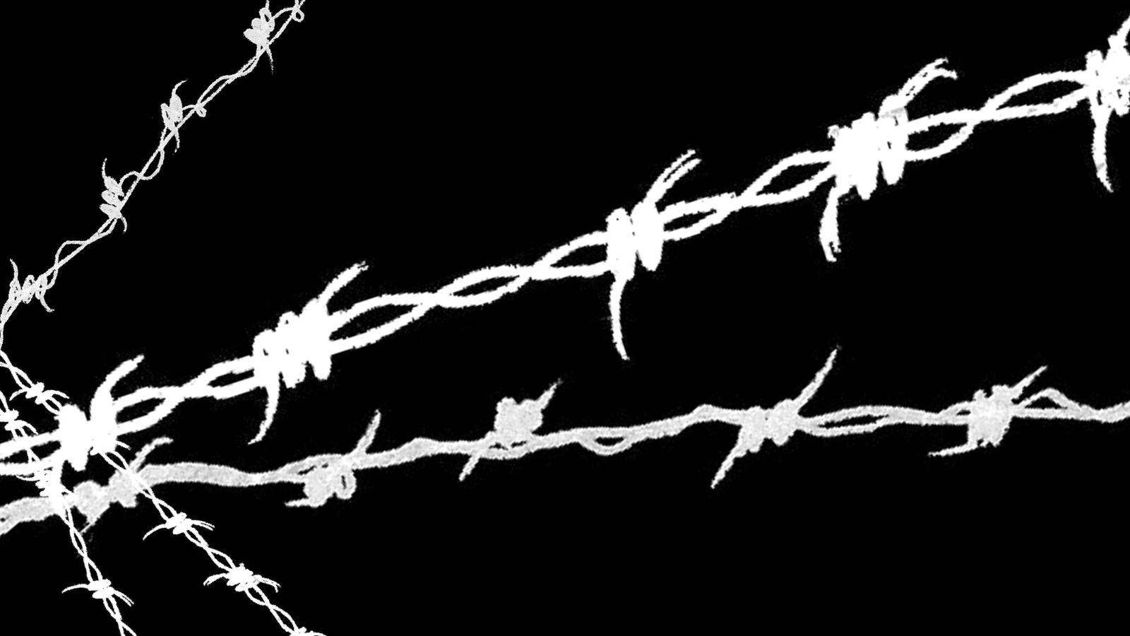 Free download black white barbed wire blackhound HD Wallpaper General 758488 [1600x900] for your Desktop, Mobile & Tablet. Explore Barb Wire Wallpaper. Barb Wire Wallpaper, Chicken Wire Wallpaper, Chicken Wire Pattern Wallpaper