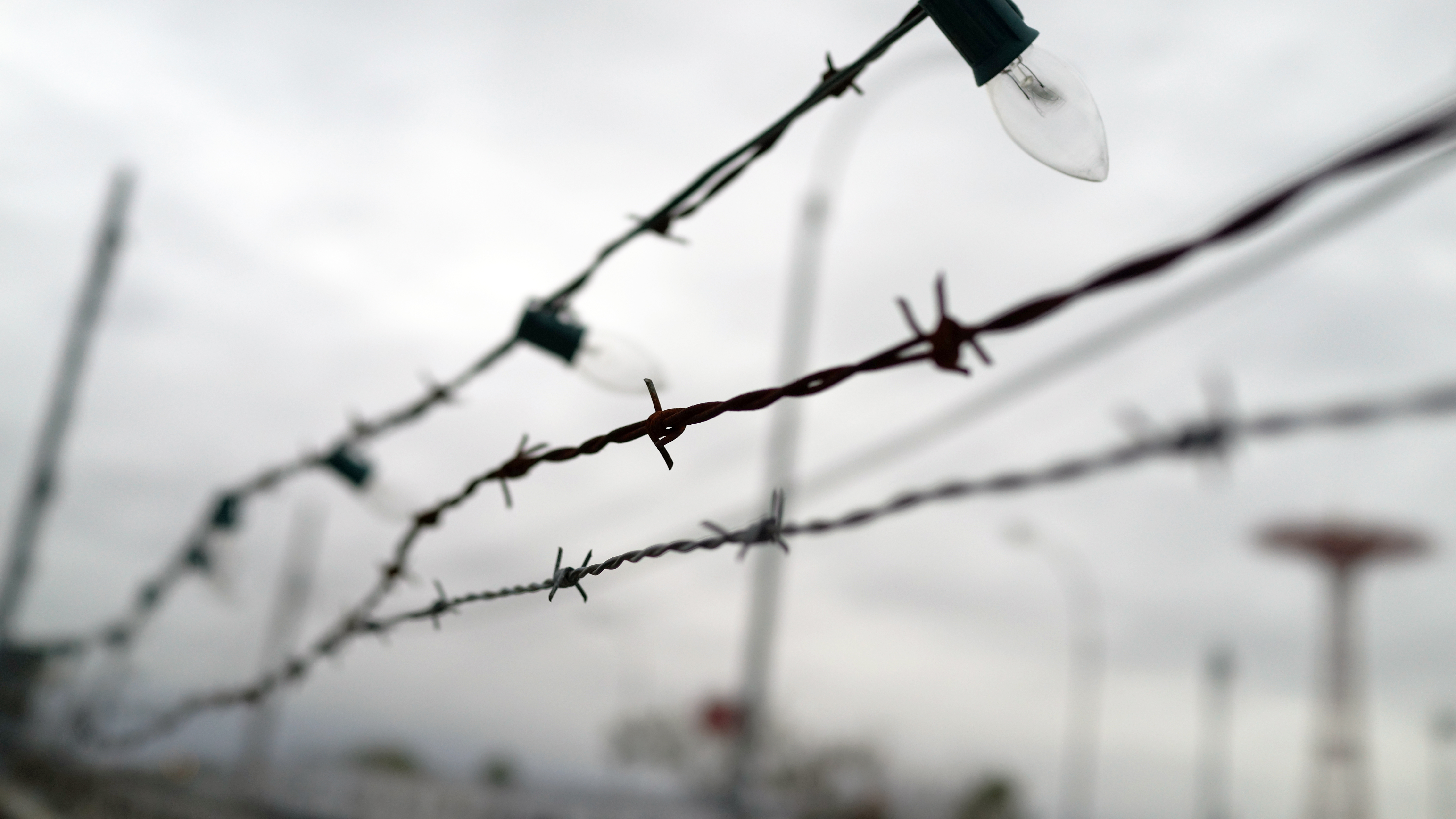 Wallpaper, barbed wire, sky, winter, branch, Sony, fence, beak, RX1R, Brooklyn, tree, bird, carlzeiss, nyc, christmaslights, rx1, newyorkcity, twig, wire fencing, coneyisland, barbwire, lovehate, bittersweet 6000x3376