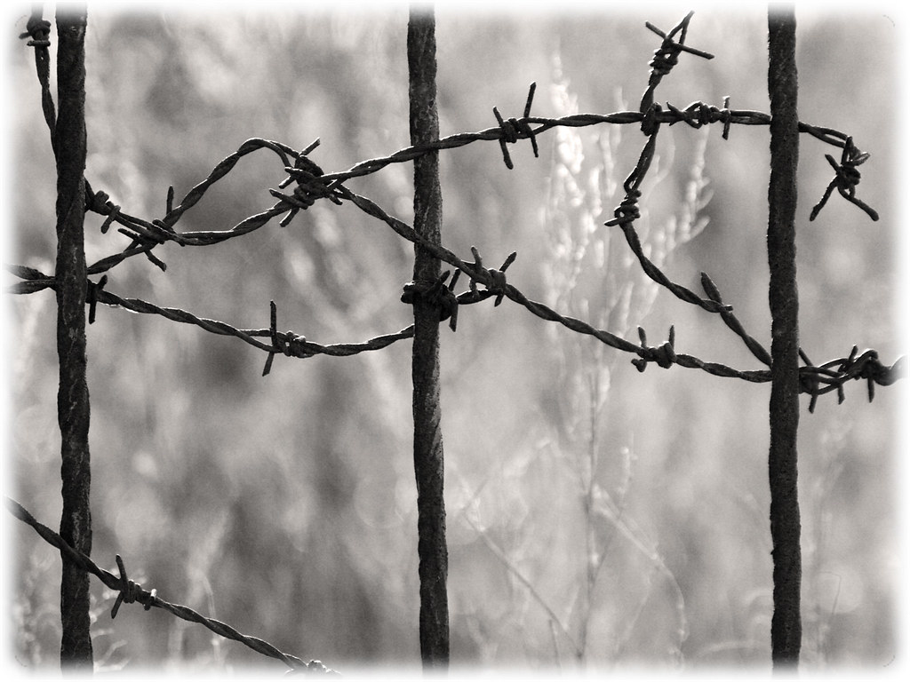 Barbwire (FREE WALLPAPER). Feel free to use it as a wallpap