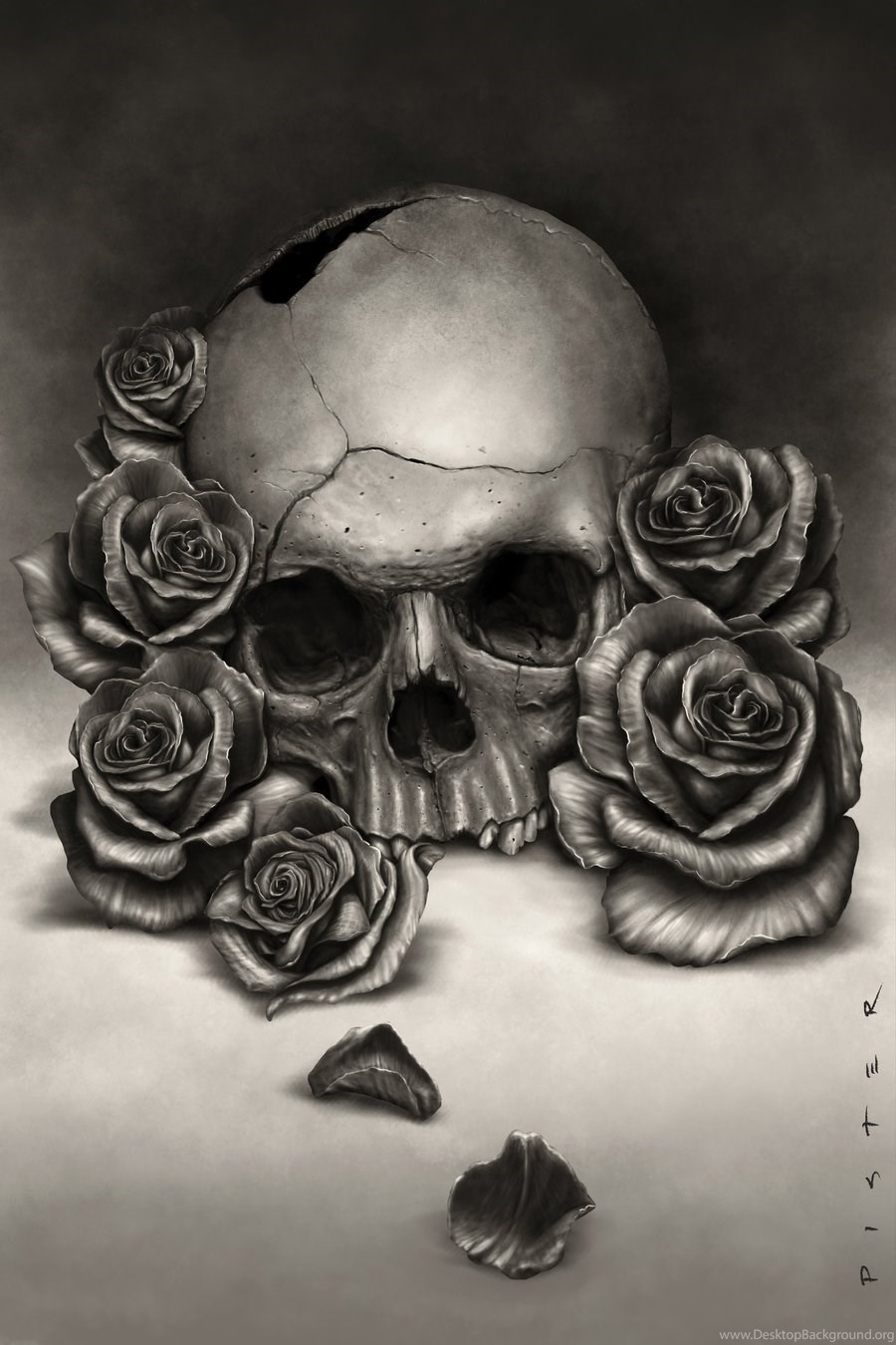 Skull Roses Wallpaper By RodgerPister Desktop Background