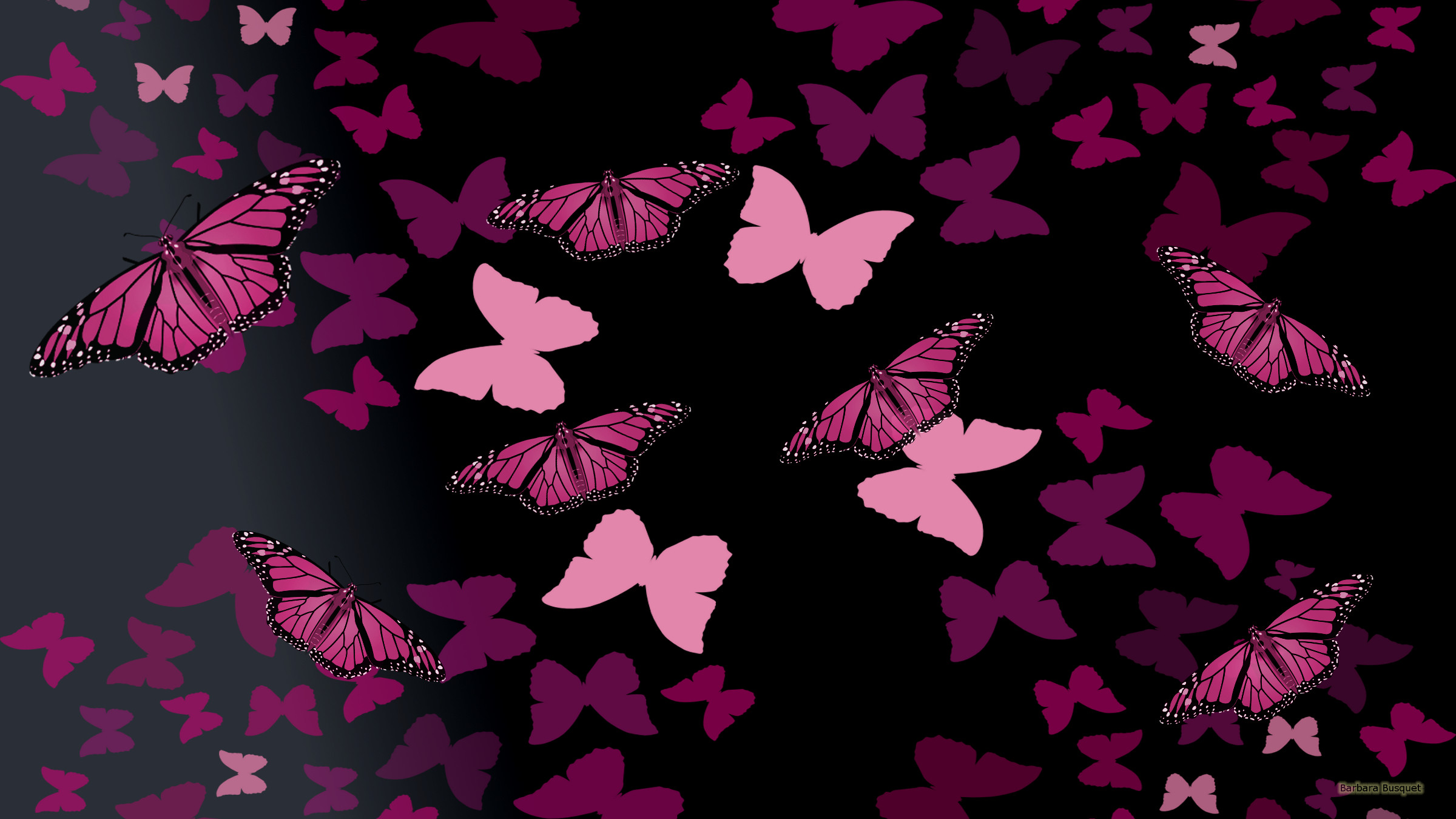 Black wallpaper with pink butterflies's HD Wallpaper