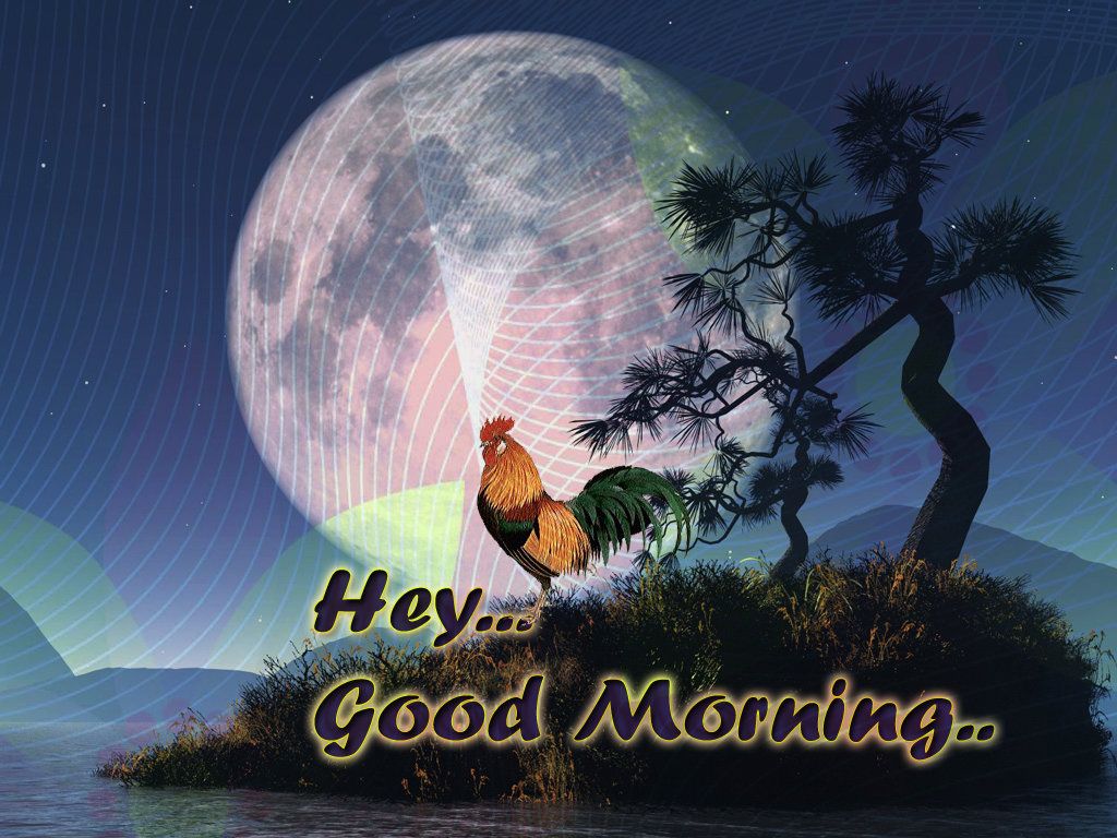 Good Morning Live HD Wallpaper HQ Picture Image Photo. Good morning animation, Good morning animated image, Good morning image