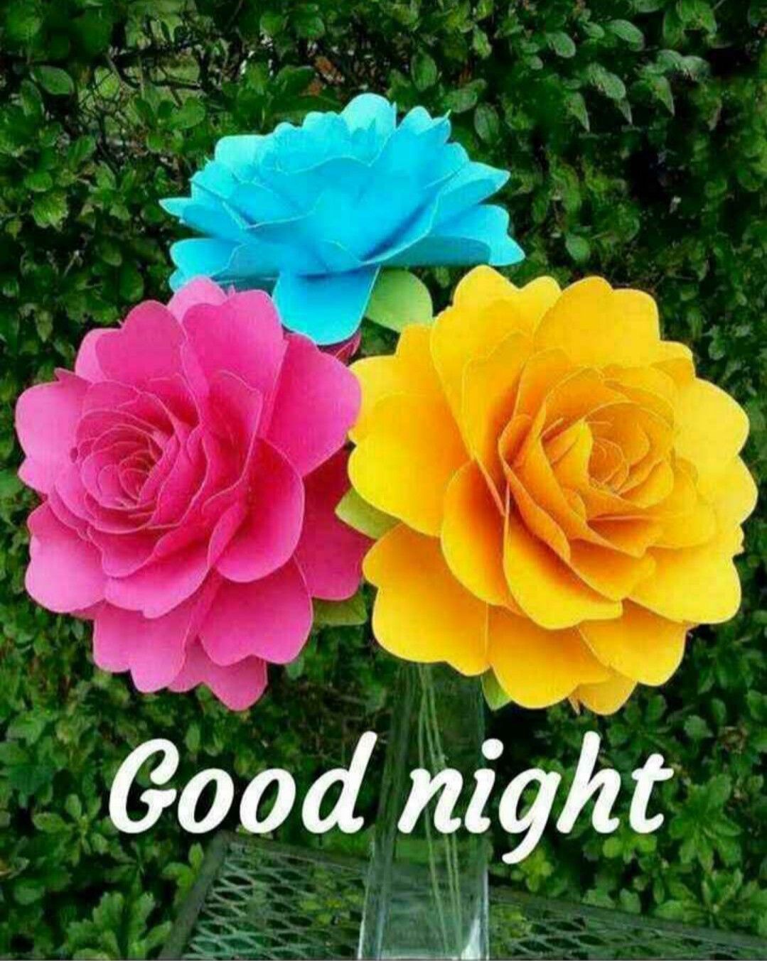 Good night image. Good morning flowers, Good night beautiful, Good night wallpaper