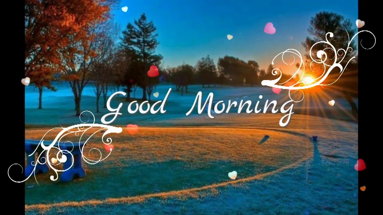 Good Morning Wishes, Good Morning Greetings, Wallpaper, E Card, Good Morning Whatsapp Video