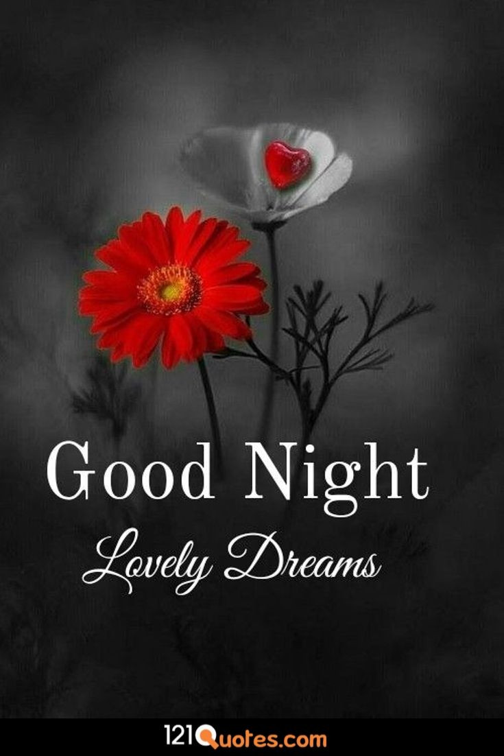 Beautiful Good Night Image [ Best Collection ]