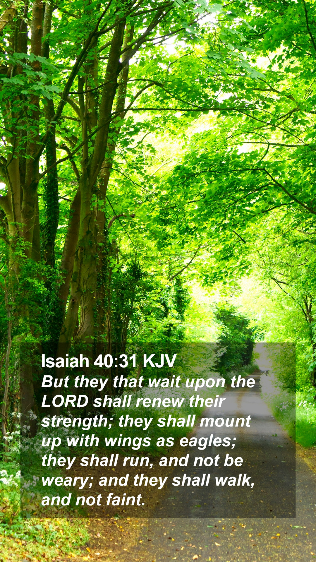 Isaiah 40:31 KJV Mobile Phone Wallpaper they that wait upon the LORD shall renew