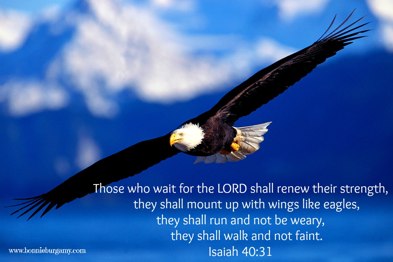 Isaiah 40 31 Wallpapers - Wallpaper Cave