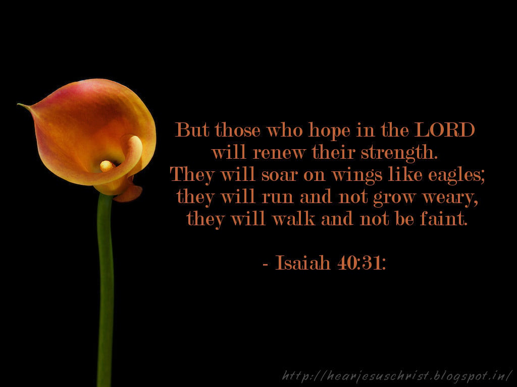 Christian Wallpaper: Bible Verse Wallpaper 40:31