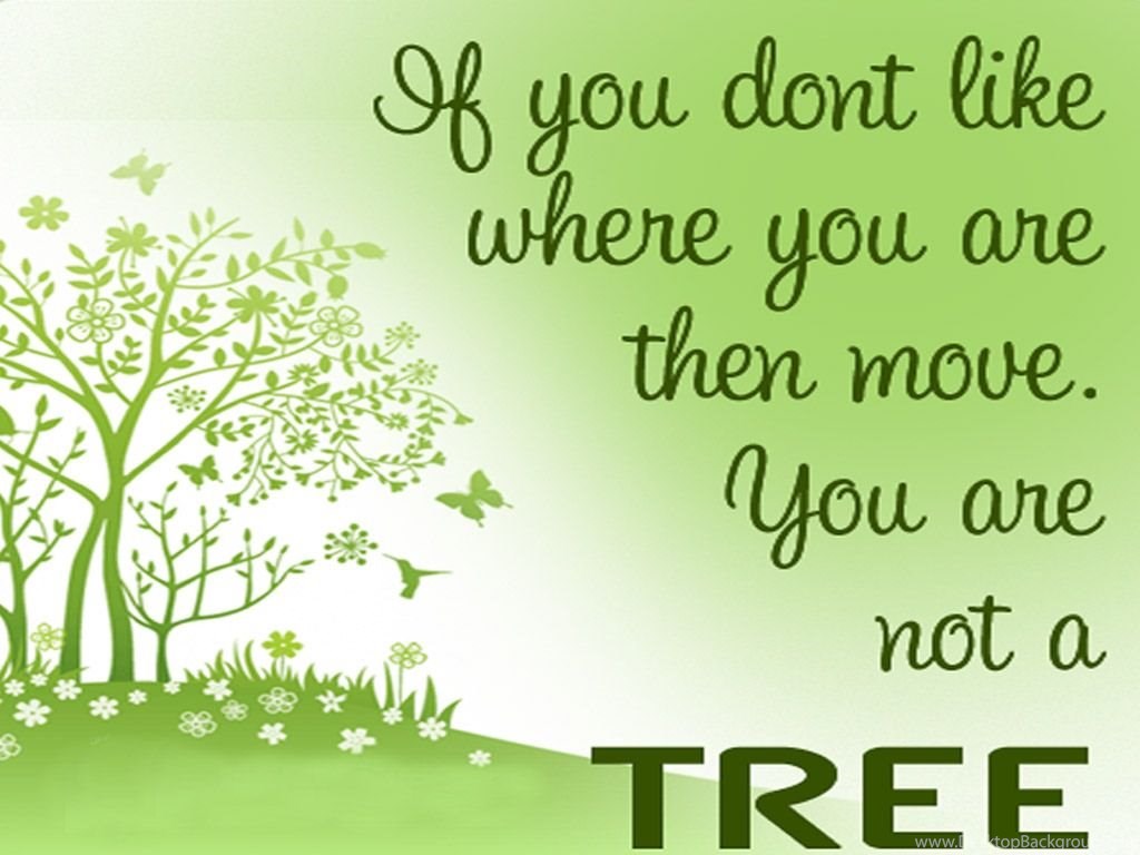 Save Tree Environment HD Wallpaper Download Desktop Background