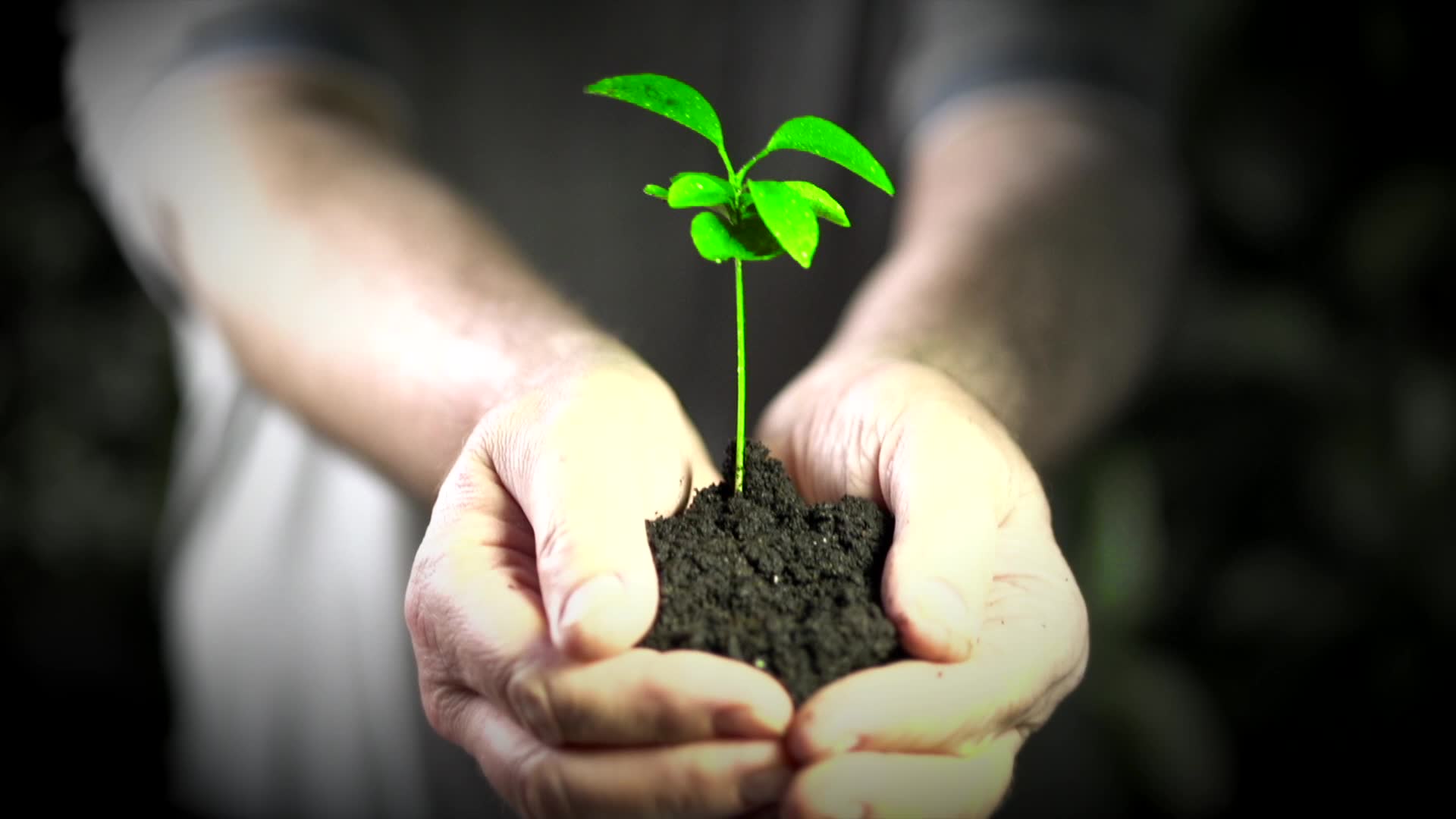 Spiritual Quotes About The Environment Spiritual Quotes