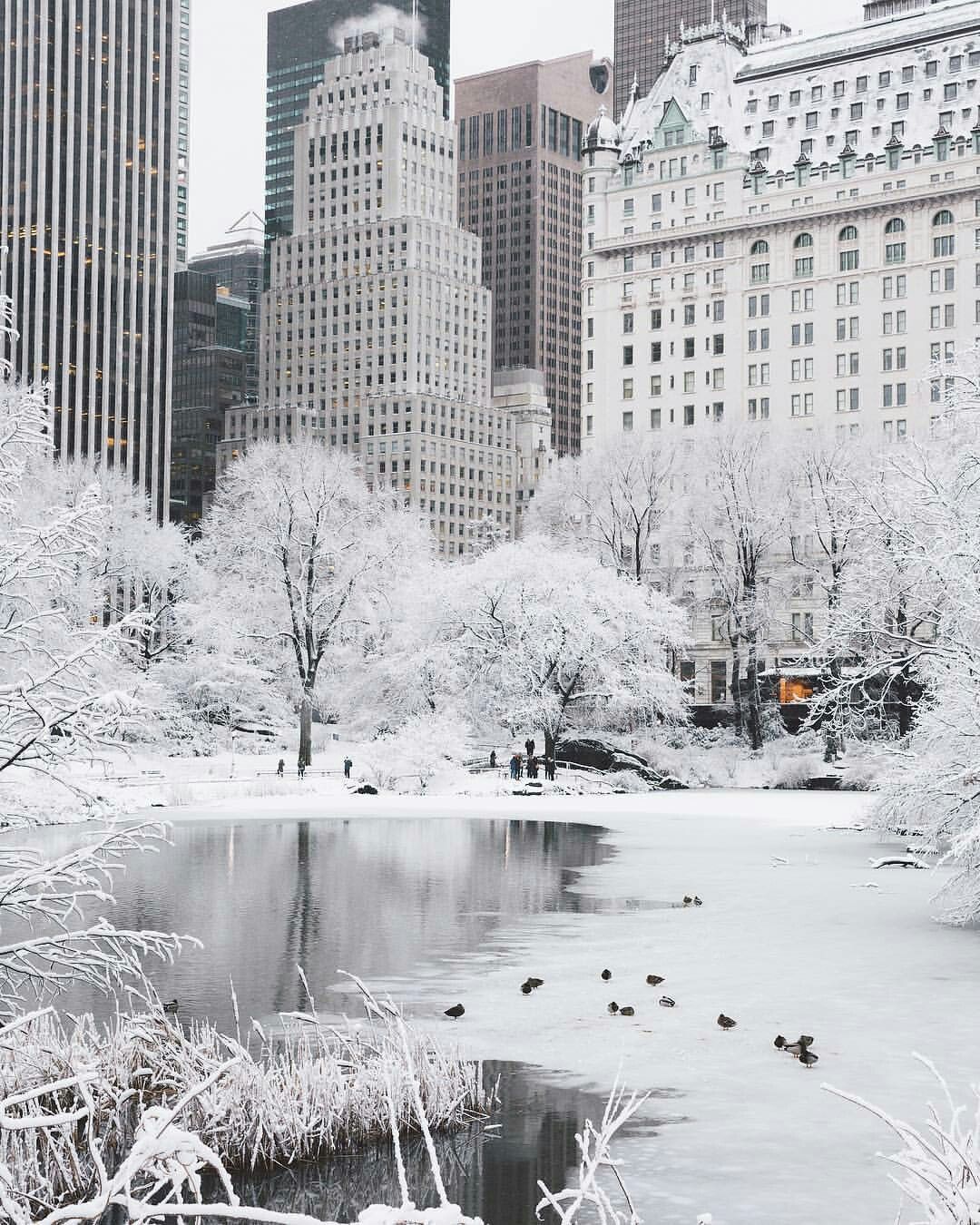 Most Astonishing Photo of NYC Covered With Snow