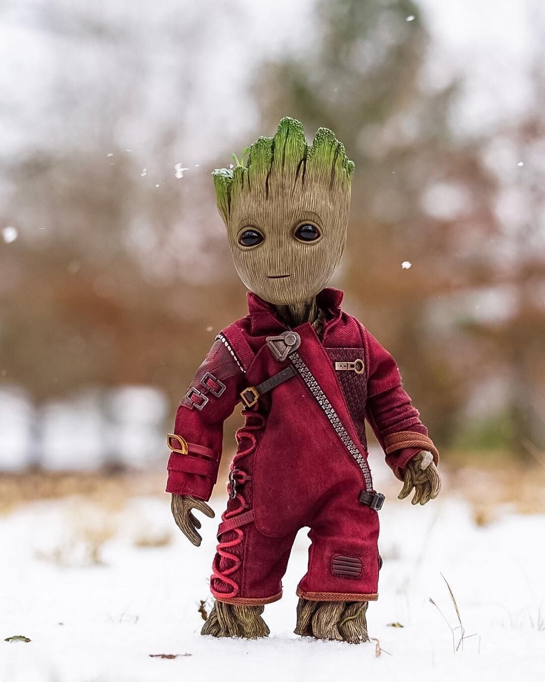 Winter Groot Wallpapers - Wallpaper Cave