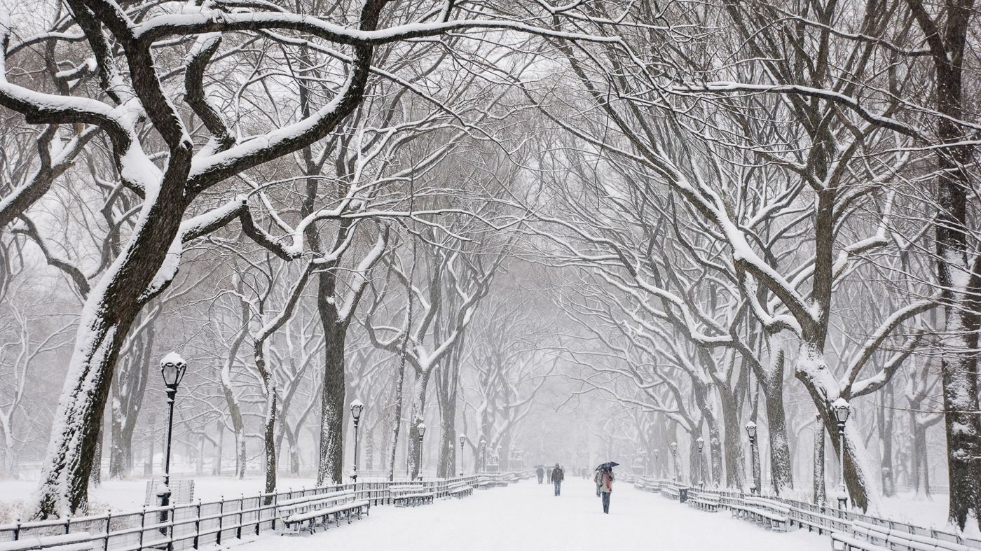 New York Is Truly Magical Covered In Snow Luggage Only, Food & Photography Blog