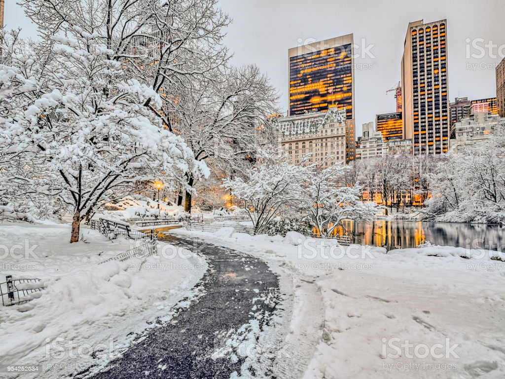 Central Park New York City Snow Image Now