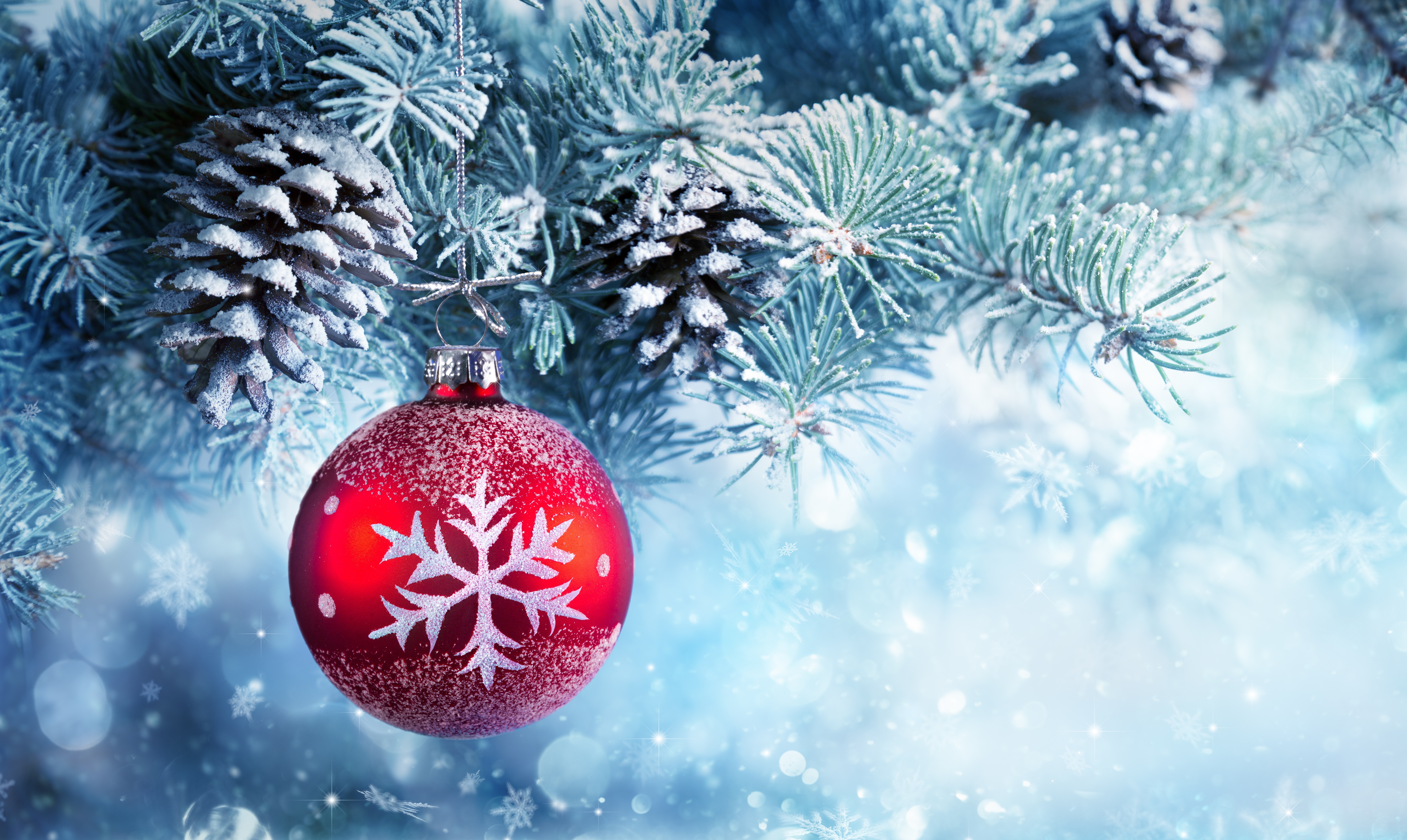 #Snow, K, #Christmas ornament, #Frost, #Christmas ball, #Winter, #Pine trees HD Wallpaper
