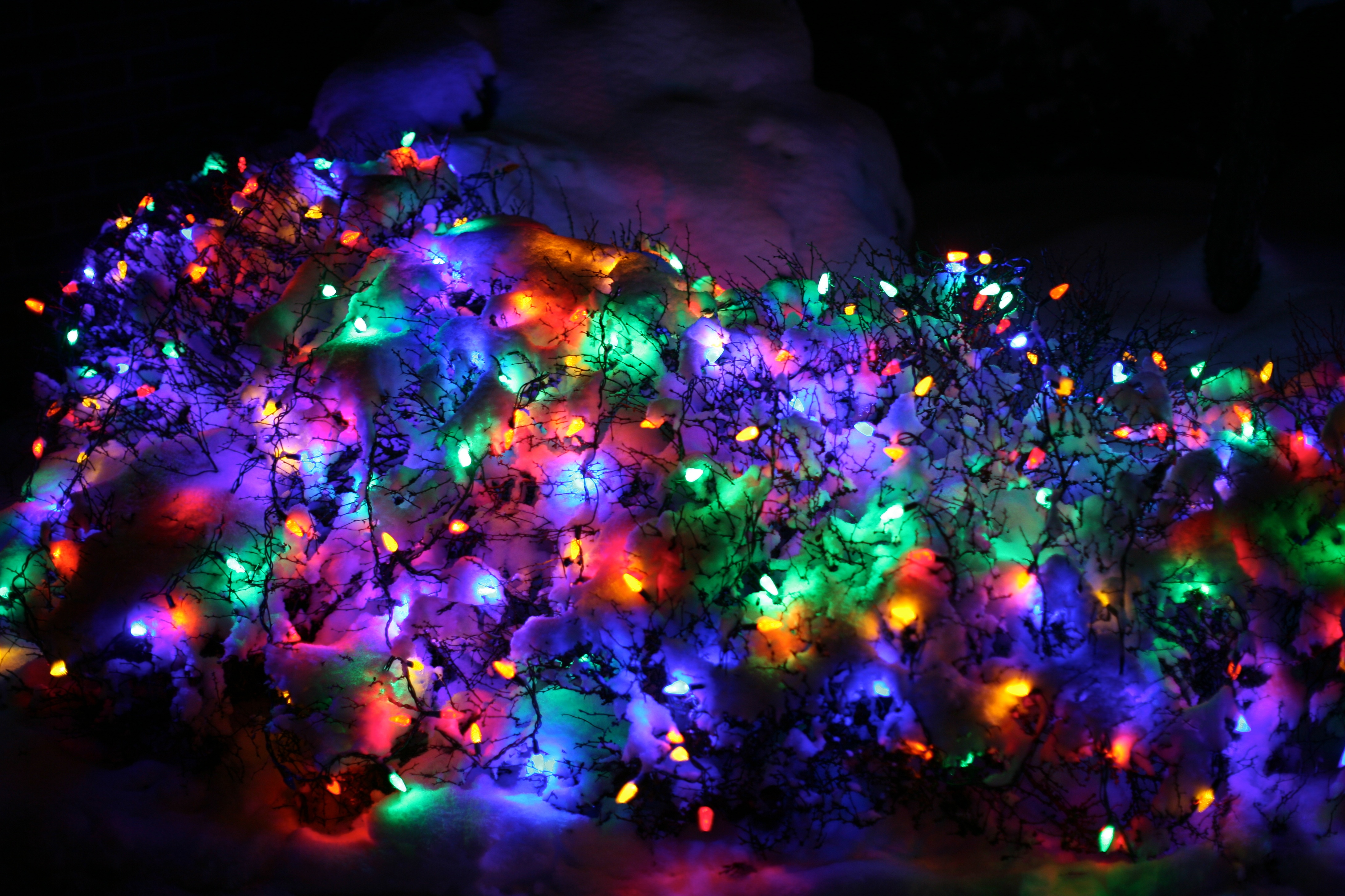 Christmas Lights In Snow Lights Wallpaper 4k