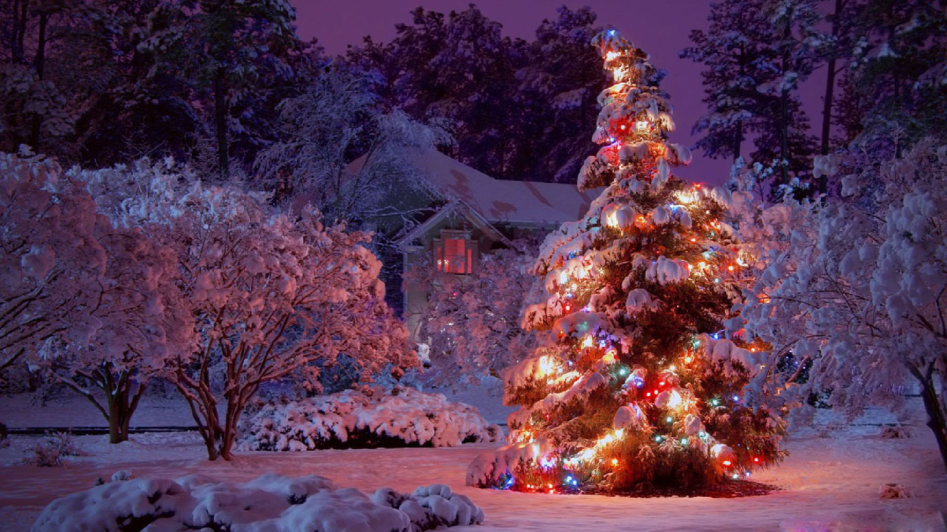 Trends For Wallpaper Christmas Profile Picture Aesthetic wallpaper