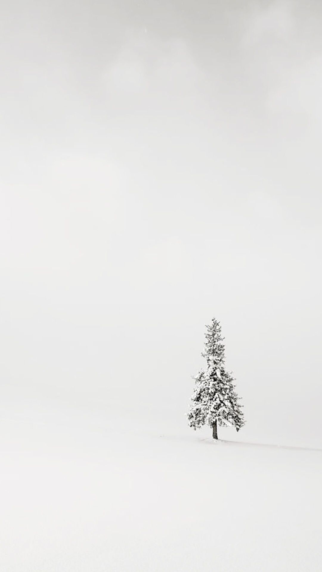 White Minimalist iPhone Wallpaper, HD White Minimalist iPhone Background on WallpaperBat