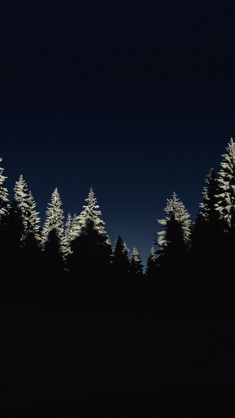 Prah Počitnice navidezno minimal winter wallpaper