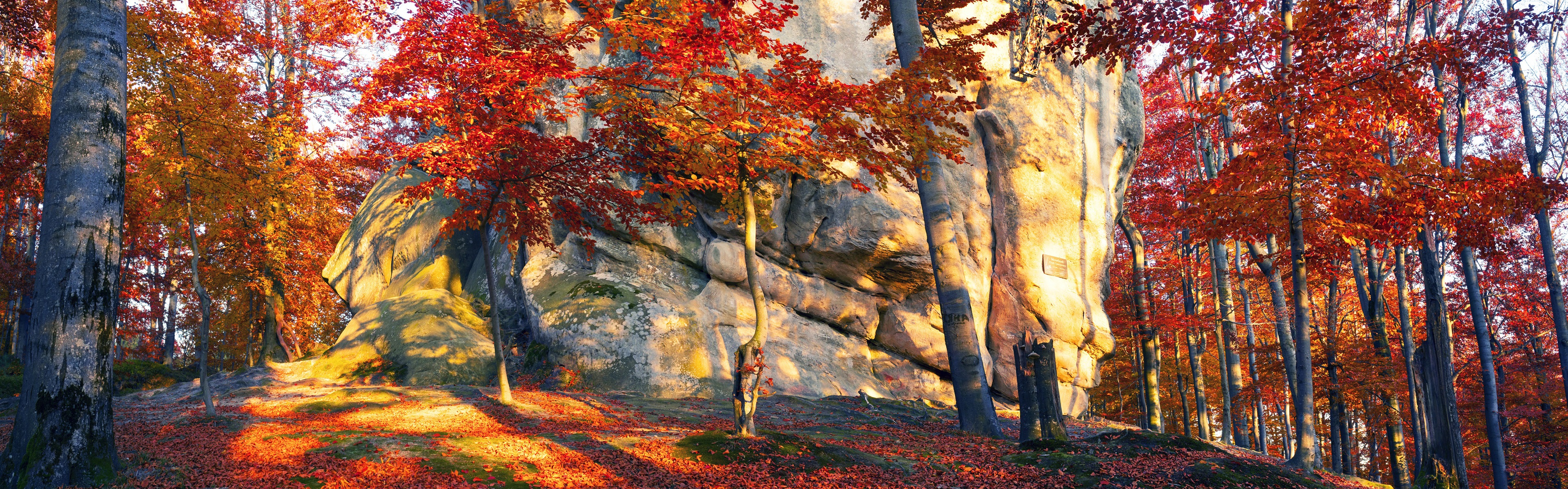 Wallpaper Ukraine, stones, trees, red leaves, autumn, sun rays 3840x2160 UHD 4K Picture, Image
