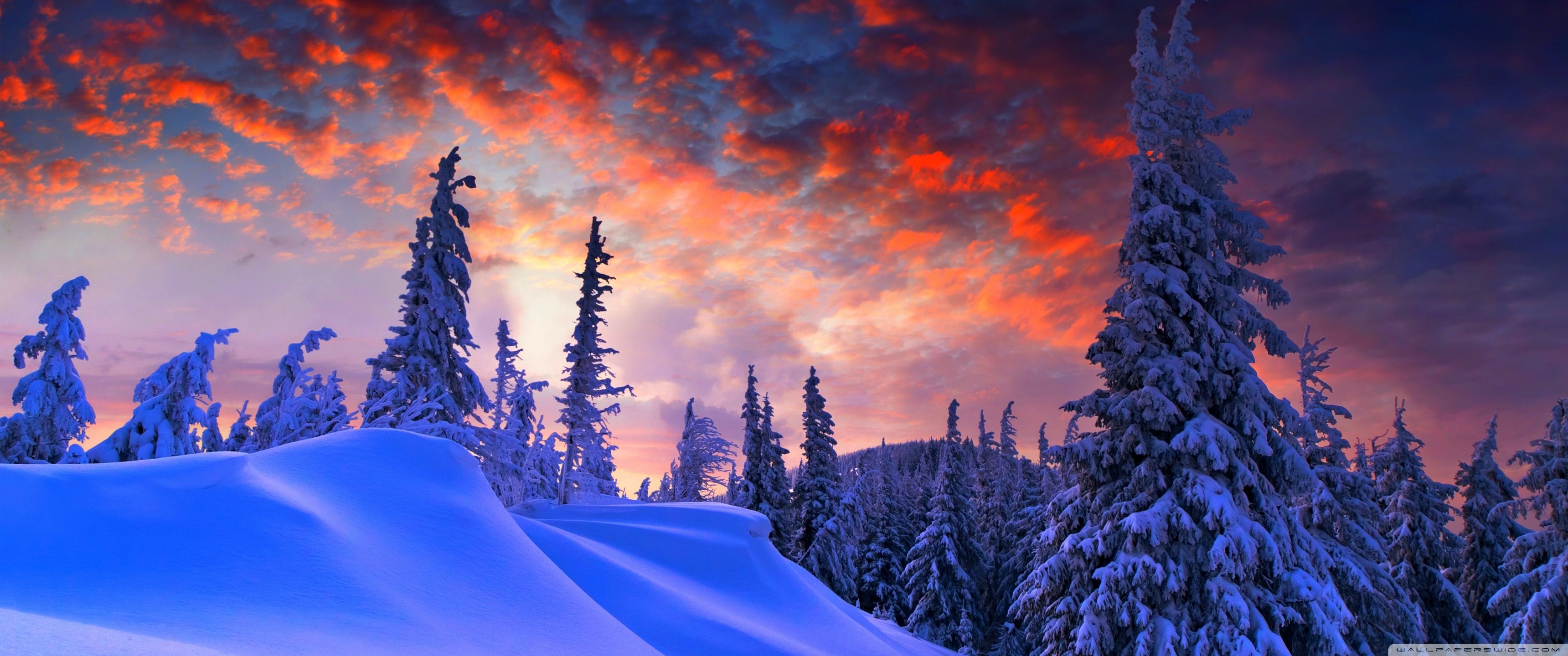 Giữ nhiệt trái tim yêu thương của bạn trong mùa đông năm nay với những bức ảnh tuyệt đẹp. Từ những cánh đồng tuyết trắng đến những cộng đồng đông đúc, chúng tôi mang đến cho bạn một bộ sưu tập các ảnh nền độc đáo và nghệ thuật đẹp mắt cho màn hình của bạn. Hãy khám phá ngay những bức ảnh này để tận hưởng cảm giác lạnh lẽo nhưng ấm áp của mùa đông.