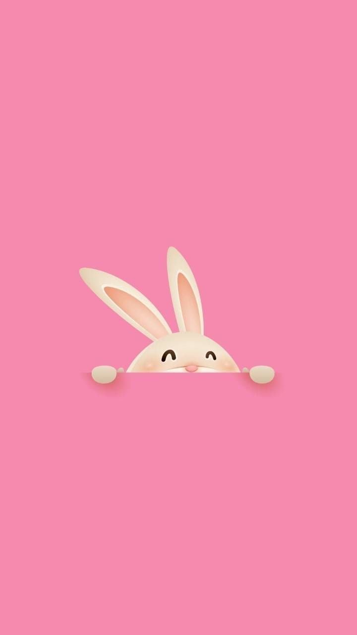 Download White Rabbit And Pink Butterfly Wallpaper | Wallpapers.com