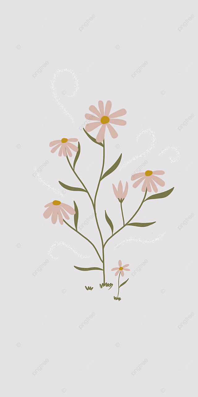 Pink Flower Simple Wallpaper Background, Wallpaper, Simple, Aesthetic Background Image for Free Download