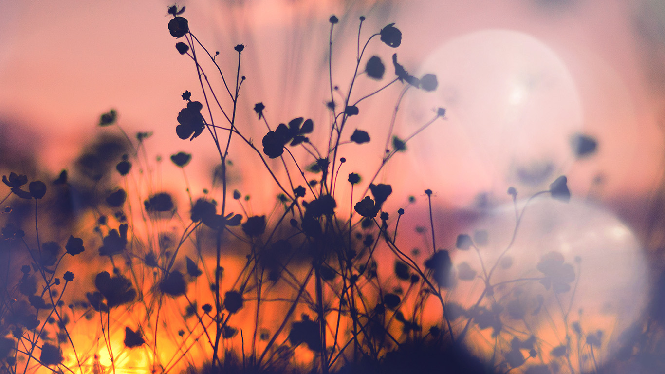 Aesthetic Wallpaper Sunset Laptop HD Wallpaper