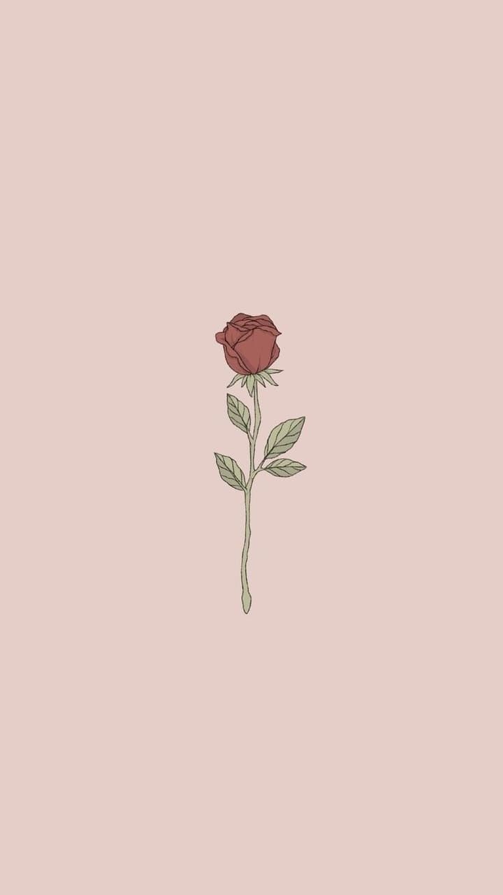 Simple Rose Wallpaper