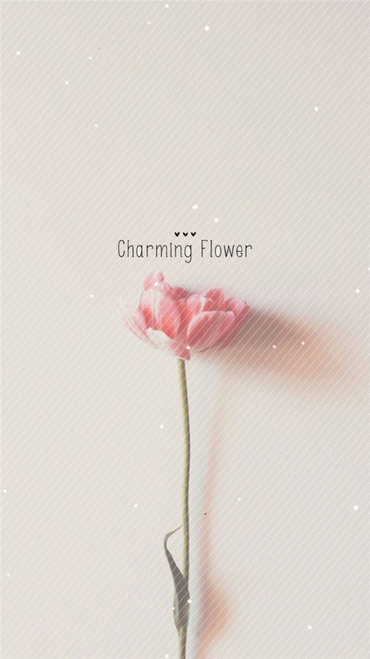Simple Flower Wallpaper, HD Simple Flower Background on WallpaperBat