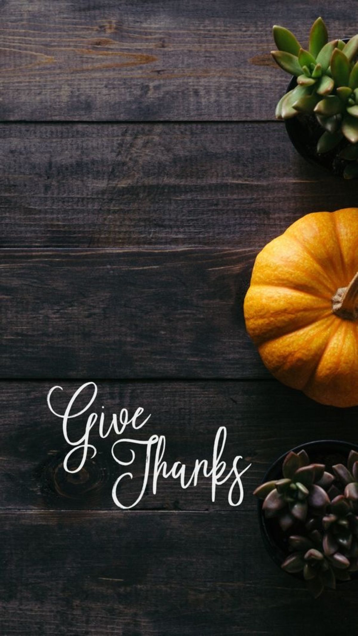 Cute Thanksgiving Wallpaper For iPhone. (Free HD Download)