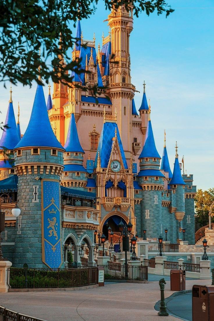 Disney Cinderella's Castle Wallpaper en 2021. Parques disney, Viaje a disney world, Fotos en disney