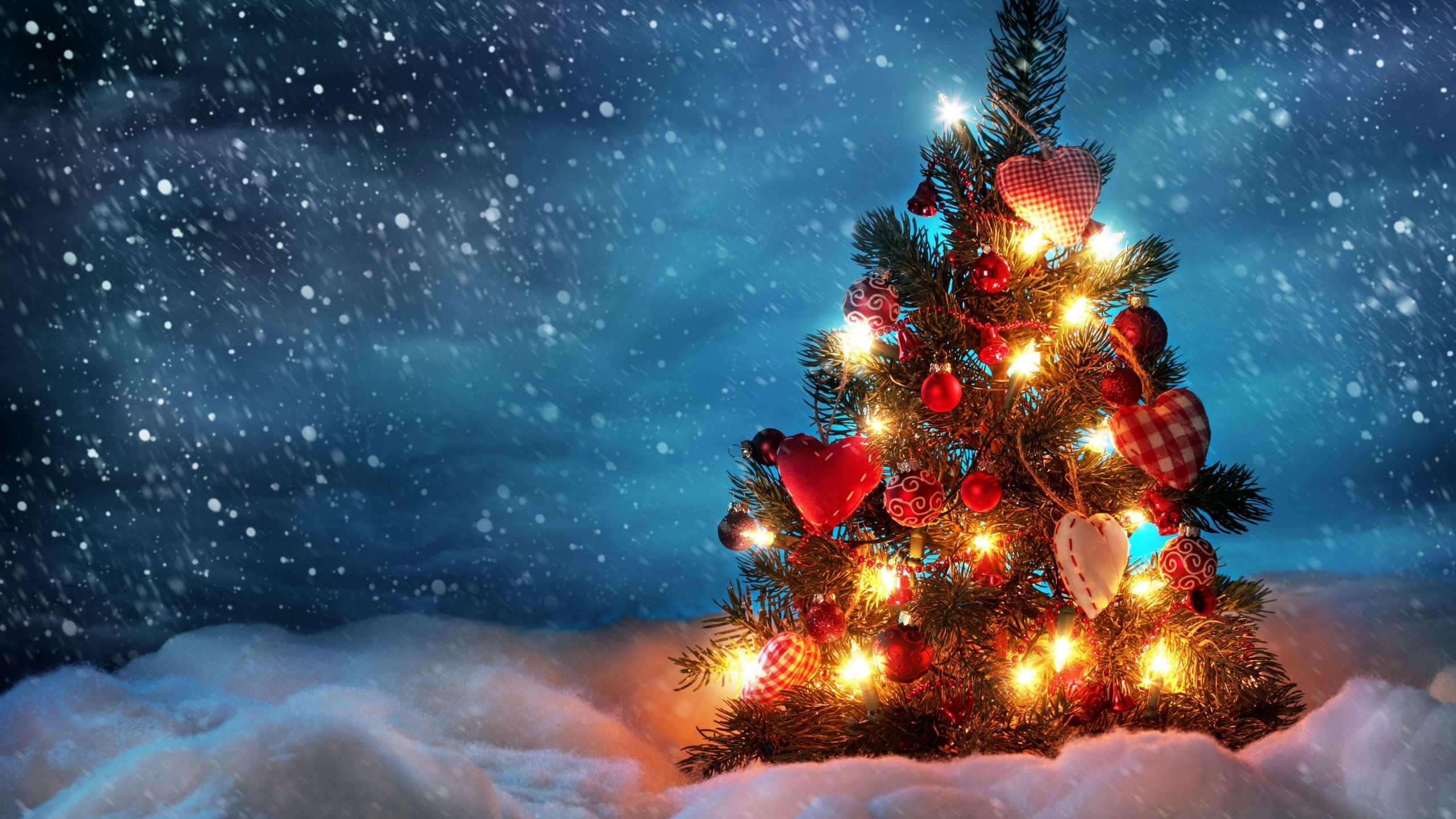 Christmas Night 2560x1440 Wallpapers - Wallpaper Cave
