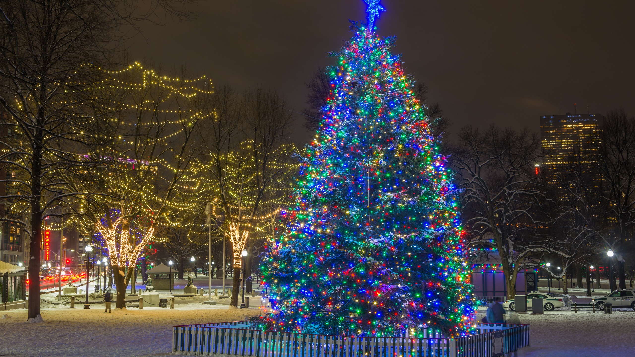 Wallpaper New Year, Christmas tree, lights, night, winter, snow, city 3840x2160 UHD 4K Picture, Image