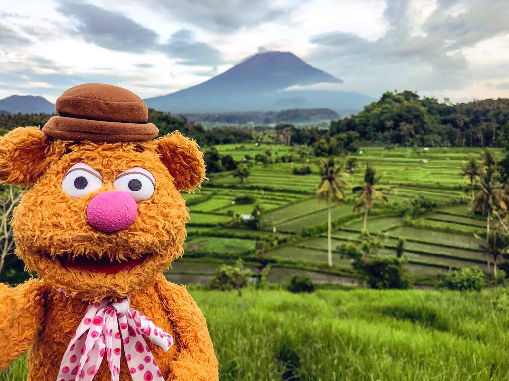 Fozzie Bear is the third sunrise of 2020. Not such a bad start into the new year. Stunning rice terraces in Eastern #Bali and Mount #Agung in the background