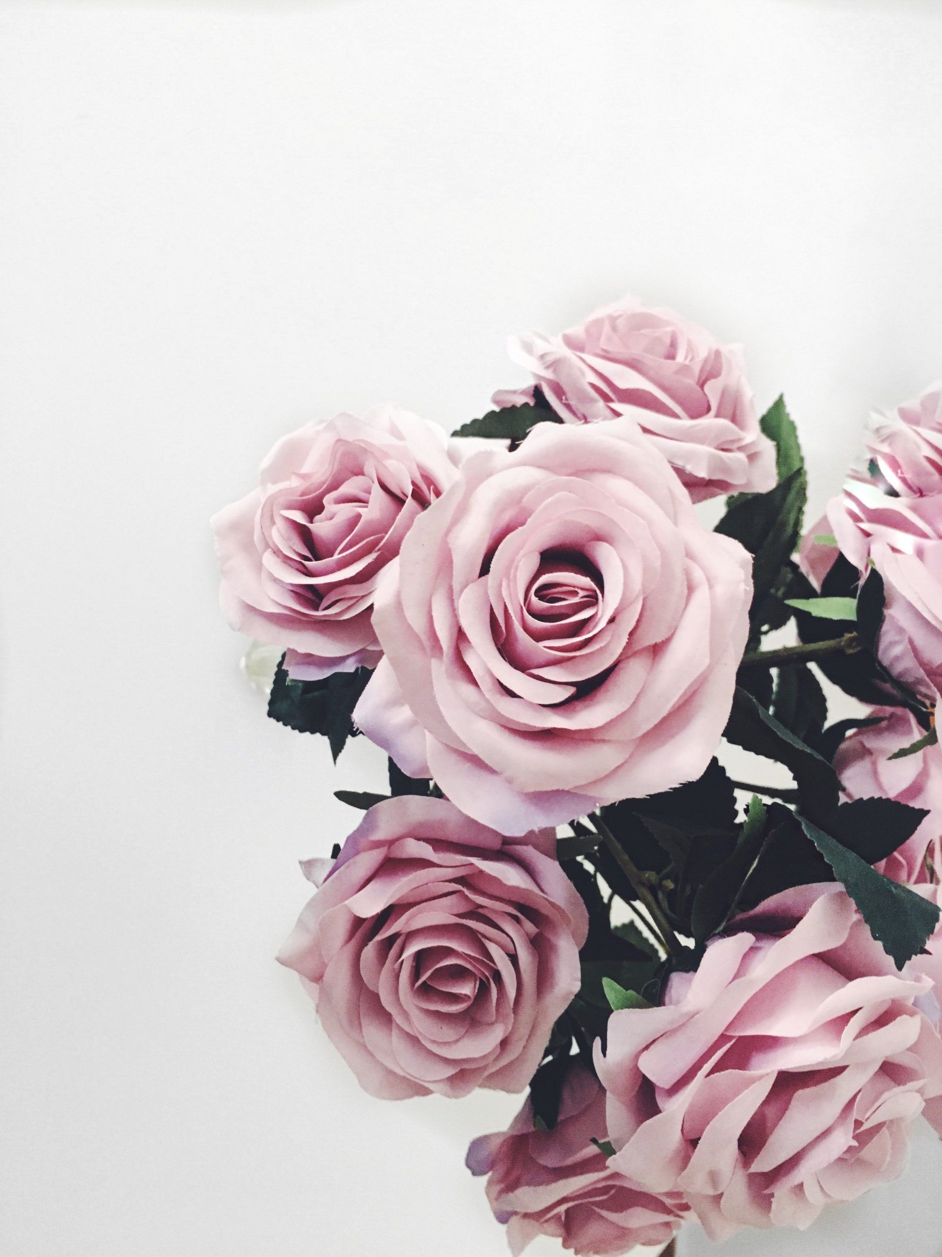 Frauentag. Pastel flowers, Tumblr flower, Flowers