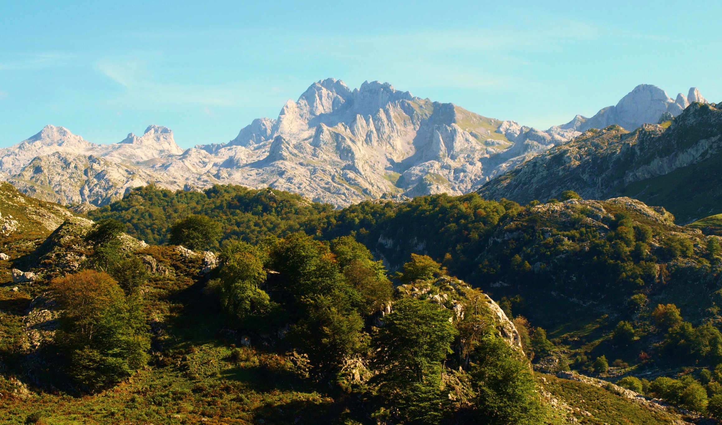 Asturias, Spain, Mountains, Shrubs HD Wallpaper