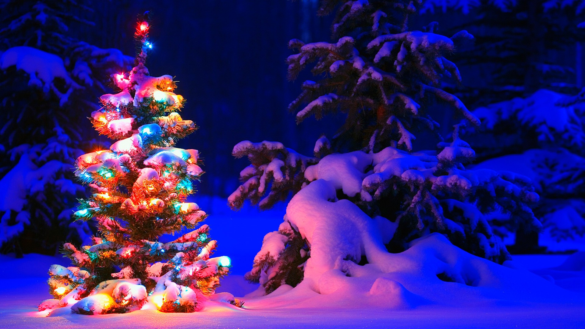 Snowy Christmas Tree Lights Wallpaper