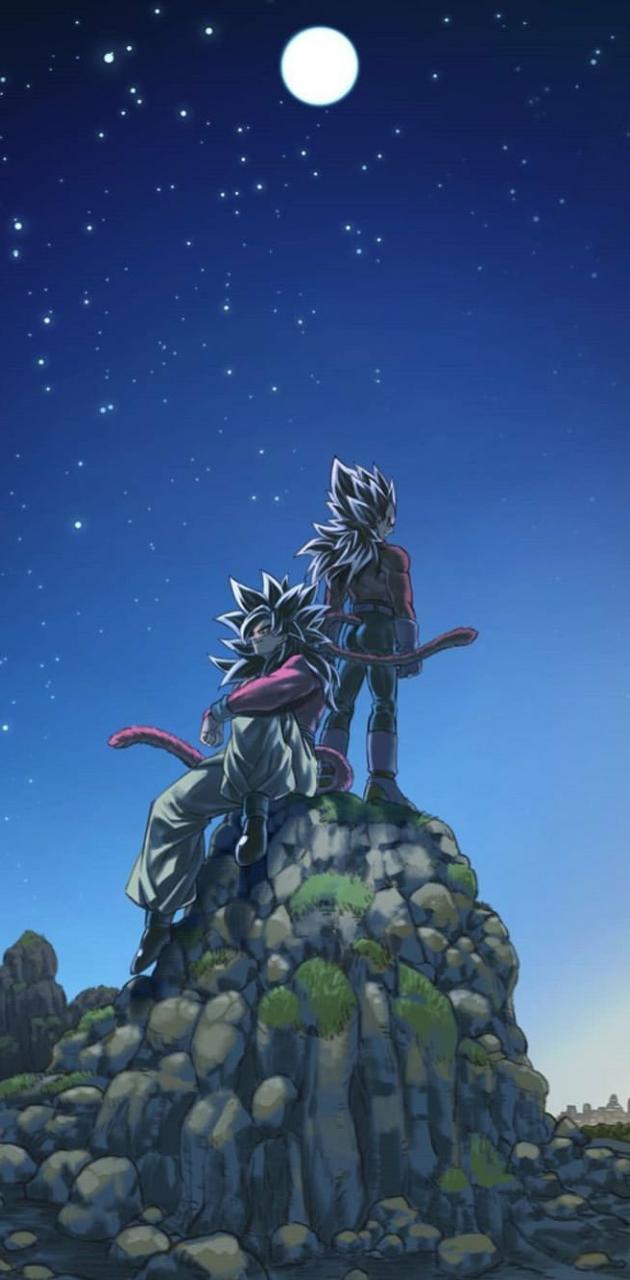 Goku Vegeta SSJ4 wallpaper