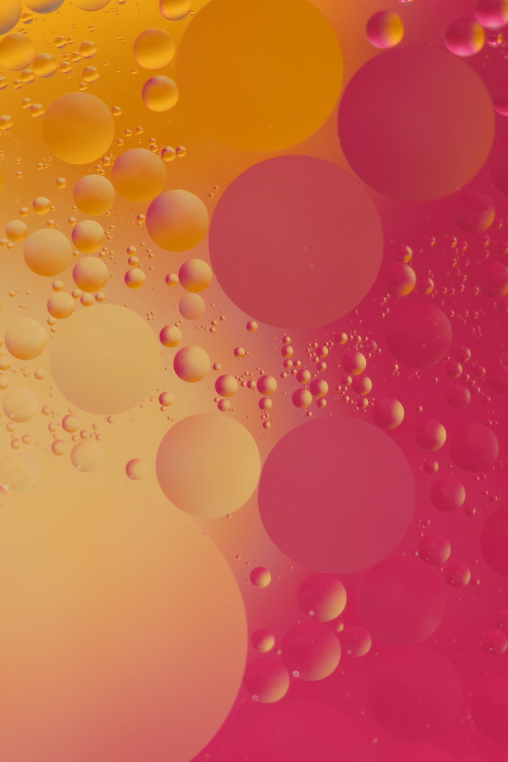 pink and orange bubble digital wallpaper photo