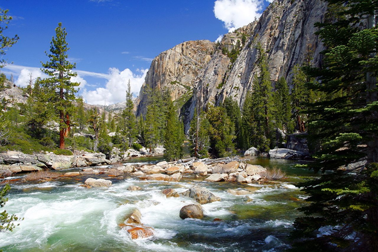California Nature Wallpaper